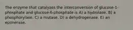 The enzyme that catalyzes the interconversion of glucose-1-phosphate and glucose-6-phosphate is A) a hydrolase. B) a phosphorylase. C) a mutase. D) a dehydrogenase. E) an epimerase.