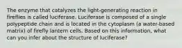 The enzyme that catalyzes the light-generating reaction in fireflies is called luciferase. Luciferase is composed of a single polypeptide chain and is located in the cytoplasm (a water-based matrix) of firefly lantern cells. Based on this information, what can you infer about the structure of luciferase?