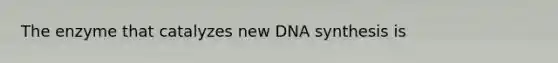 The enzyme that catalyzes new DNA synthesis is