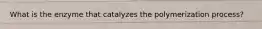 What is the enzyme that catalyzes the polymerization process?