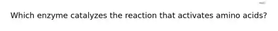 Which enzyme catalyzes the reaction that activates amino acids?