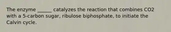 The enzyme ______ catalyzes the reaction that combines CO2 with a 5-carbon sugar, ribulose biphosphate, to initiate the Calvin cycle.