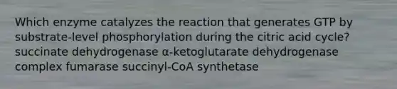 Which enzyme catalyzes the reaction that generates GTP by substrate-level phosphorylation during the citric acid cycle? succinate dehydrogenase α-ketoglutarate dehydrogenase complex fumarase succinyl-CoA synthetase