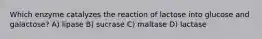 Which enzyme catalyzes the reaction of lactose into glucose and galactose? A) lipase B) sucrase C) maltase D) lactase