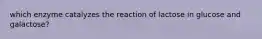 which enzyme catalyzes the reaction of lactose in glucose and galactose?