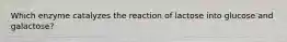 Which enzyme catalyzes the reaction of lactose into glucose and galactose?