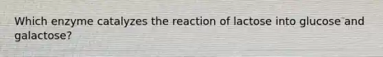 Which enzyme catalyzes the reaction of lactose into glucose and galactose?