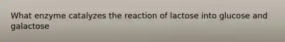 What enzyme catalyzes the reaction of lactose into glucose and galactose