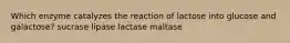 Which enzyme catalyzes the reaction of lactose into glucose and galactose? sucrase lipase lactase maltase