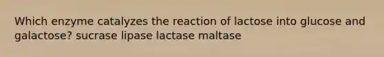 Which enzyme catalyzes the reaction of lactose into glucose and galactose? sucrase lipase lactase maltase