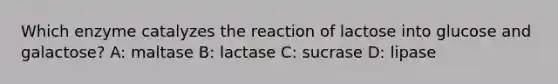 Which enzyme catalyzes the reaction of lactose into glucose and galactose? A: maltase B: lactase C: sucrase D: lipase