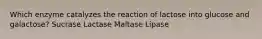 Which enzyme catalyzes the reaction of lactose into glucose and galactose? Sucrase Lactase Maltase Lipase