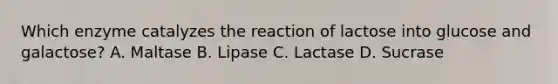 Which enzyme catalyzes the reaction of lactose into glucose and galactose? A. Maltase B. Lipase C. Lactase D. Sucrase