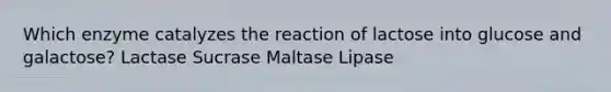 Which enzyme catalyzes the reaction of lactose into glucose and galactose? Lactase Sucrase Maltase Lipase