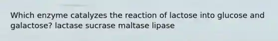 Which enzyme catalyzes the reaction of lactose into glucose and galactose? lactase sucrase maltase lipase