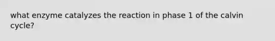 what enzyme catalyzes the reaction in phase 1 of the calvin cycle?