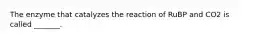 The enzyme that catalyzes the reaction of RuBP and CO2 is called _______.