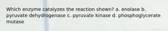 Which enzyme catalyzes the reaction shown? a. enolase b. pyruvate dehydrogenase c. pyruvate kinase d. phosphoglycerate mutase