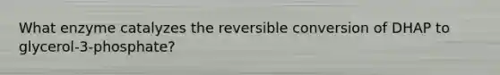 What enzyme catalyzes the reversible conversion of DHAP to glycerol-3-phosphate?