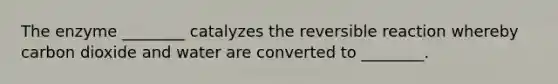 The enzyme ________ catalyzes the reversible reaction whereby carbon dioxide and water are converted to ________.