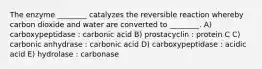 The enzyme ________ catalyzes the reversible reaction whereby carbon dioxide and water are converted to ________. A) carboxypeptidase : carbonic acid B) prostacyclin : protein C C) carbonic anhydrase : carbonic acid D) carboxypeptidase : acidic acid E) hydrolase : carbonase