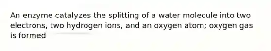 An enzyme catalyzes the splitting of a water molecule into two electrons, two hydrogen ions, and an oxygen atom; oxygen gas is formed