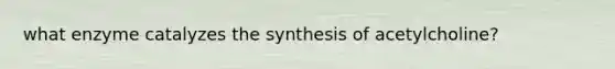 what enzyme catalyzes the synthesis of acetylcholine?