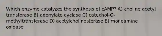 Which enzyme catalyzes the synthesis of cAMP? A) choline acetyl transferase B) adenylate cyclase C) catechol-O-methyltransferase D) acetylcholinesterase E) monoamine oxidase