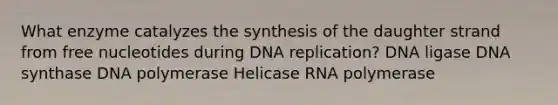 What enzyme catalyzes the synthesis of the daughter strand from free nucleotides during DNA replication? DNA ligase DNA synthase DNA polymerase Helicase RNA polymerase