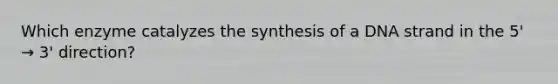 Which enzyme catalyzes the synthesis of a DNA strand in the 5' → 3' direction?