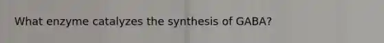 What enzyme catalyzes the synthesis of GABA?