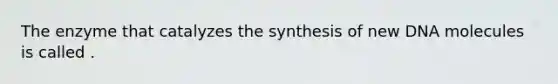 The enzyme that catalyzes the synthesis of new DNA molecules is called .