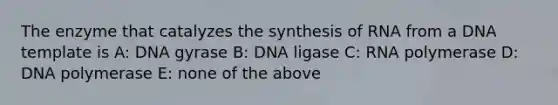 The enzyme that catalyzes the synthesis of RNA from a DNA template is A: DNA gyrase B: DNA ligase C: RNA polymerase D: DNA polymerase E: none of the above