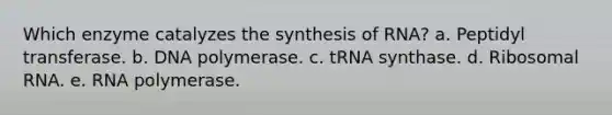 Which enzyme catalyzes the synthesis of RNA? a. Peptidyl transferase. b. DNA polymerase. c. tRNA synthase. d. Ribosomal RNA. e. RNA polymerase.