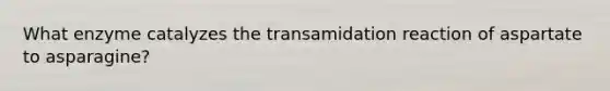 What enzyme catalyzes the transamidation reaction of aspartate to asparagine?