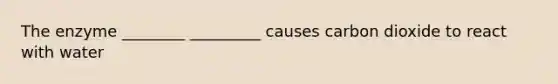 The enzyme ________ _________ causes carbon dioxide to react with water