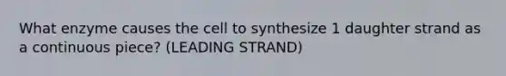 What enzyme causes the cell to synthesize 1 daughter strand as a continuous piece? (LEADING STRAND)