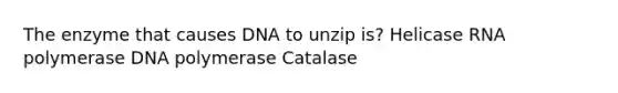 The enzyme that causes DNA to unzip is? Helicase RNA polymerase DNA polymerase Catalase