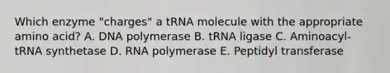 Which enzyme "charges" a tRNA molecule with the appropriate amino acid? A. DNA polymerase B. tRNA ligase C. Aminoacyl-tRNA synthetase D. RNA polymerase E. Peptidyl transferase