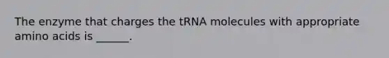 The enzyme that charges the tRNA molecules with appropriate amino acids is ______.