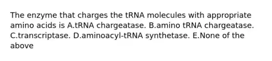 The enzyme that charges the tRNA molecules with appropriate amino acids is A.tRNA chargeatase. B.amino tRNA chargeatase. C.transcriptase. D.aminoacyl-tRNA synthetase. E.None of the above