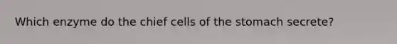 Which enzyme do the chief cells of the stomach secrete?