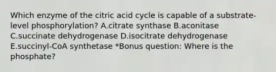 Which enzyme of the citric acid cycle is capable of a substrate-level phosphorylation? A.citrate synthase B.aconitase C.succinate dehydrogenase D.isocitrate dehydrogenase E.succinyl-CoA synthetase *Bonus question: Where is the phosphate?