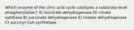 Which enzyme of the citric acid cycle catalyzes a substrate-level phosphorylation? A) isocitrate dehydrogenase D) citrate synthase B) succinate dehydrogenase E) malate dehydrogenase C) succinyl-CoA synthetase