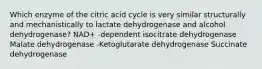 Which enzyme of the citric acid cycle is very similar structurally and mechanistically to lactate dehydrogenase and alcohol dehydrogenase? NAD+ -dependent isocitrate dehydrogenase Malate dehydrogenase -Ketoglutarate dehydrogenase Succinate dehydrogenase