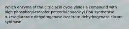 Which enzyme of the citric acid cycle yields a compound with high phosphoryl‑transfer potential? succinyl CoA synthetase α‑ketoglutarate dehydrogenase isocitrate dehydrogenase citrate synthase