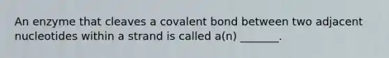 An enzyme that cleaves a covalent bond between two adjacent nucleotides within a strand is called a(n) _______.