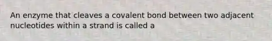 An enzyme that cleaves a covalent bond between two adjacent nucleotides within a strand is called a