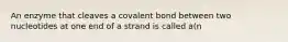 An enzyme that cleaves a covalent bond between two nucleotides at one end of a strand is called a(n