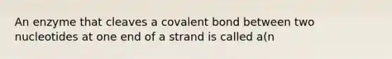 An enzyme that cleaves a covalent bond between two nucleotides at one end of a strand is called a(n